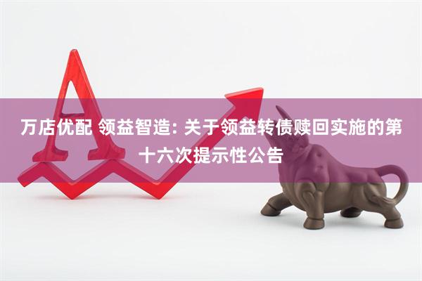 万店优配 领益智造: 关于领益转债赎回实施的第十六次提示性公告