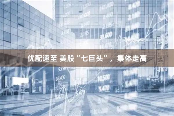 优配速至 美股“七巨头”，集体走高