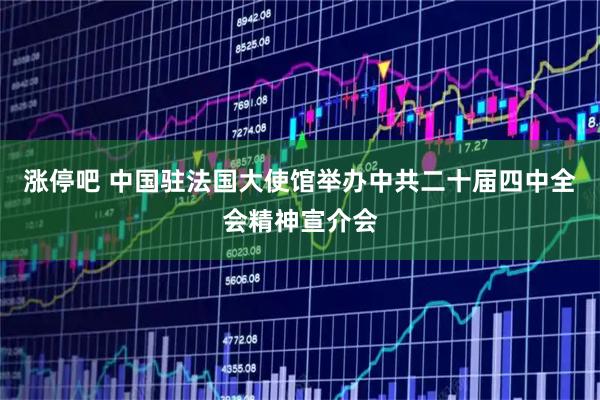 涨停吧 中国驻法国大使馆举办中共二十届四中全会精神宣介会