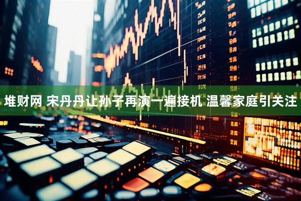 堆财网 宋丹丹让孙子再演一遍接机 温馨家庭引关注
